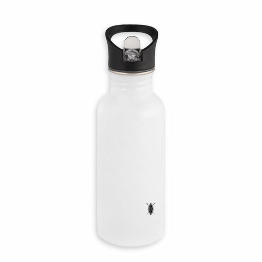 Bouteille en inox avec paille IMARA